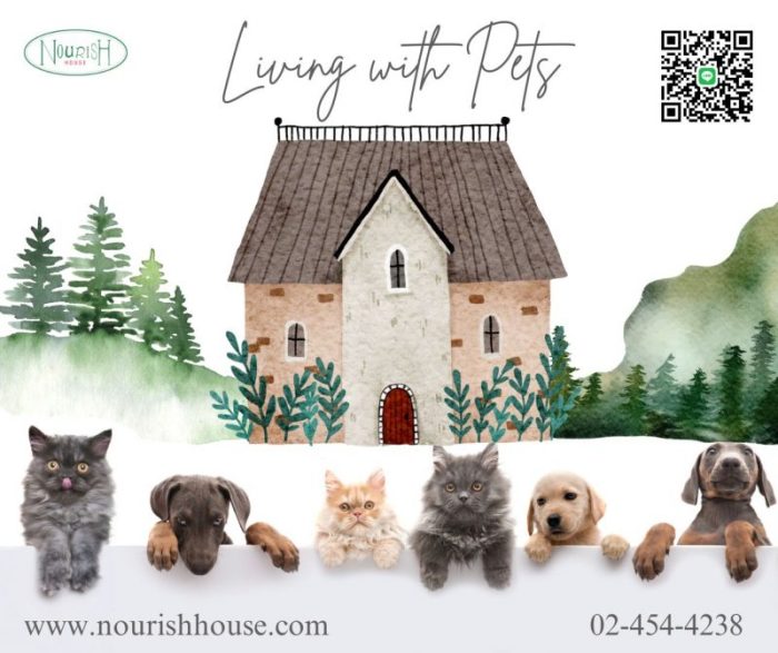 Pets and Home